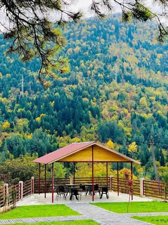 HOLIDAY BORJOMI