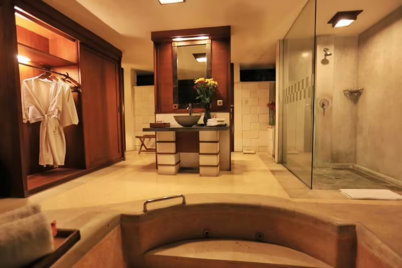 THE SANYAS SUITE