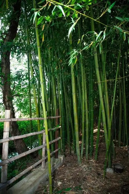 АКАЛАМ КАНТРИ КЛАБ