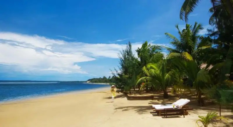 LE DOMAINE DE TAM HAI