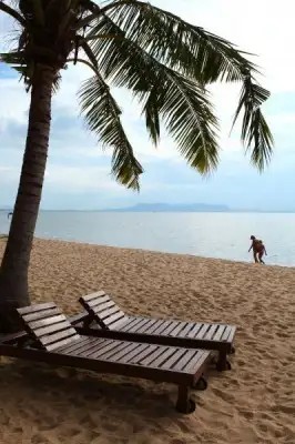 CASUARINA JOMTIEN