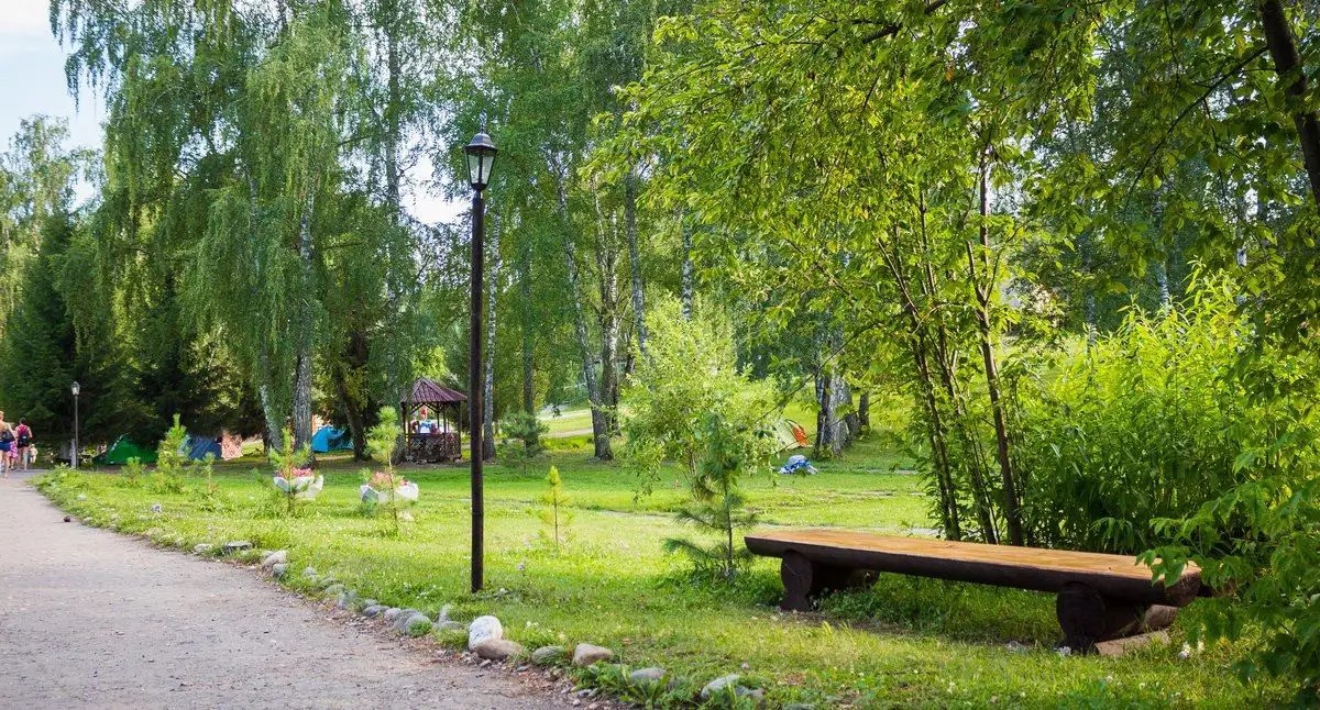 БЕРЕЗКА ТБ
