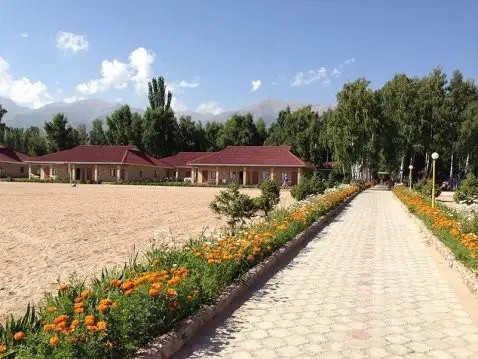 SOLEMAR (СОЛЕМАР)