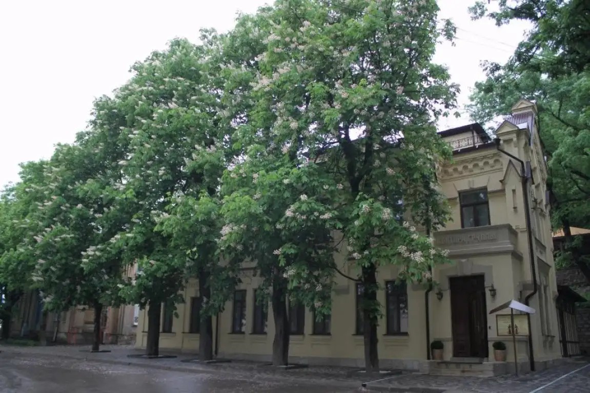 КНЯЖНА МЕРИ