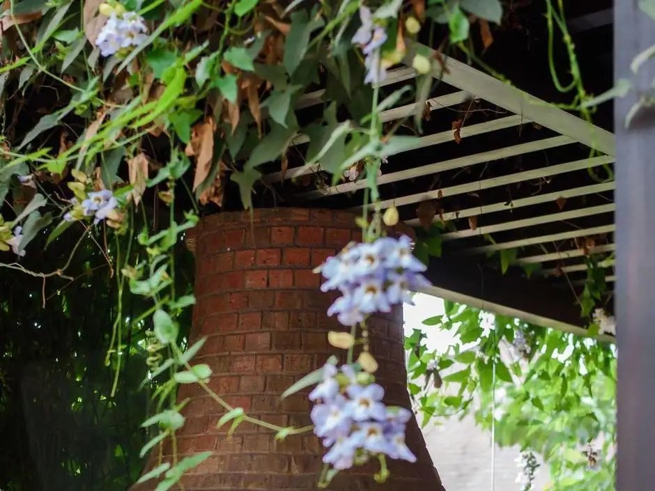 NOVOTEL GOA RESORT & SPA (EX. GRAND MERCURE GOA SHREM RESORT)