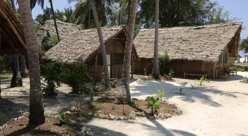 JAMBO BEACH
