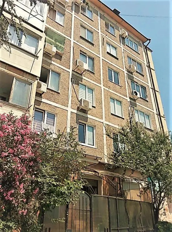 КАРТИНКИ МАССАНДРЫ
