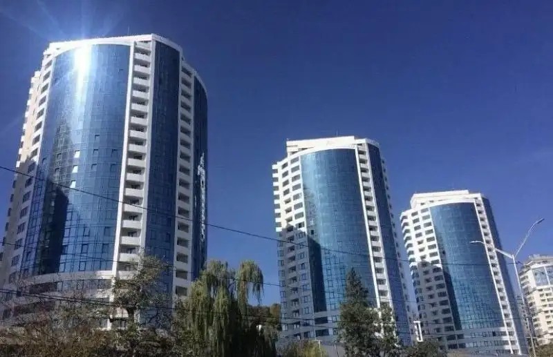 BULGASARI
