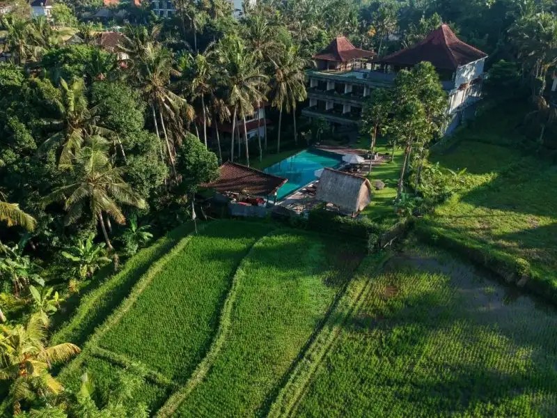 THE ARTINI DIJIWA UBUD