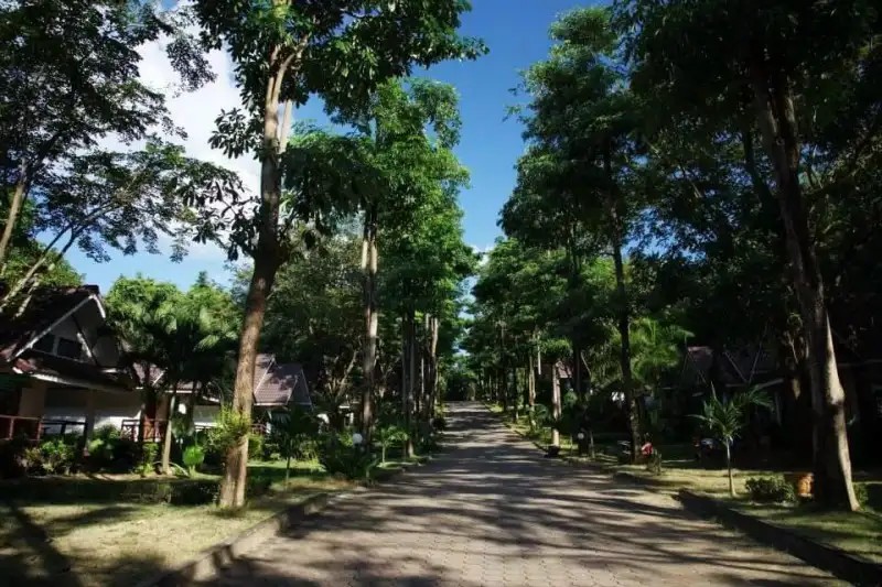 LANTA MANDA