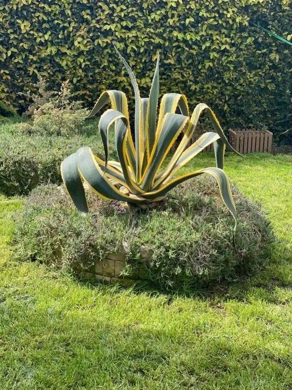 ARTROOM SOCHI