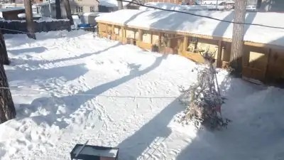 СОСНОВЫЙ РАЙ