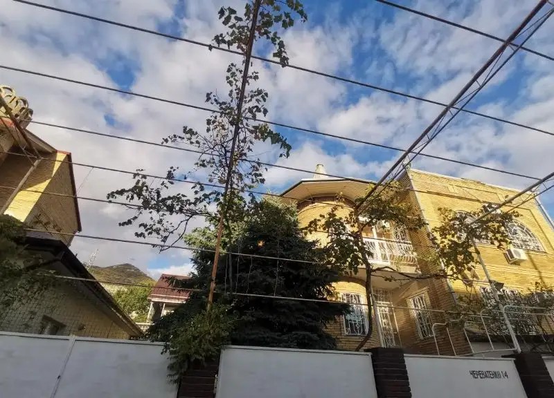 ЭЛЛИС