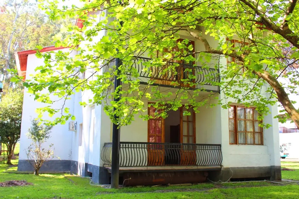 ЭВКАЛИПТОВАЯ РОЩА