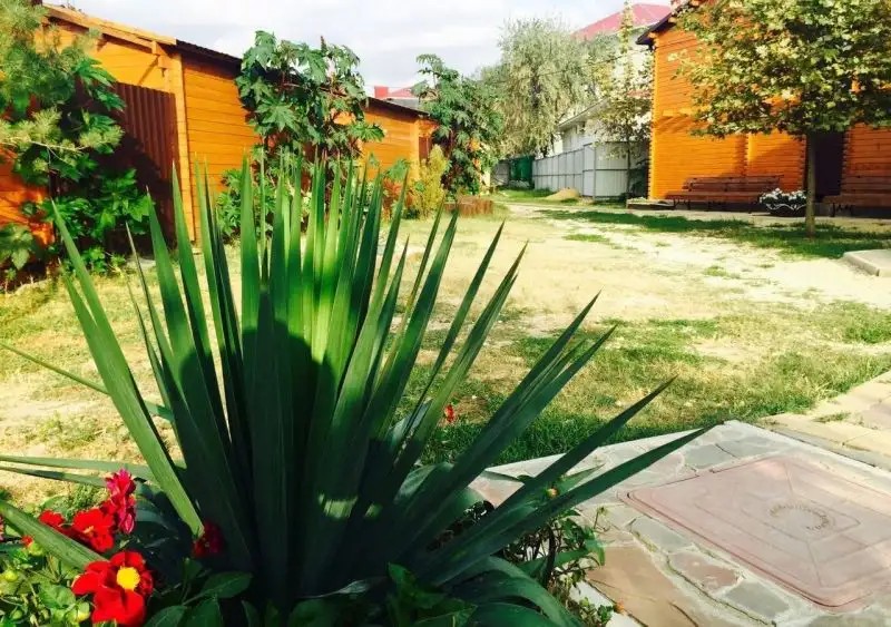HOLIDAY PARK OLIMP