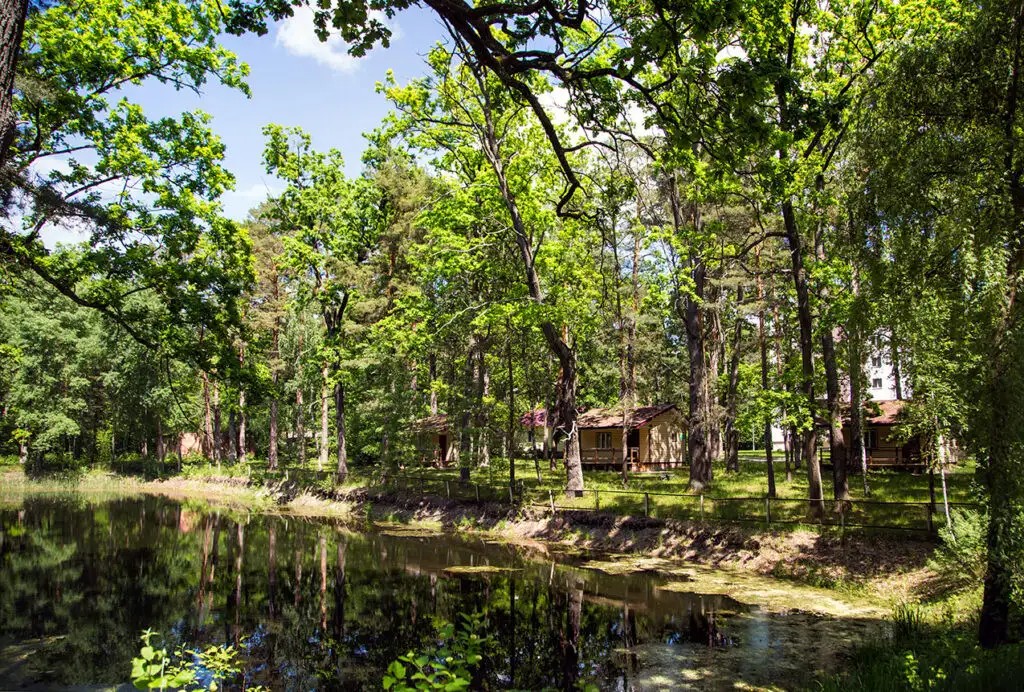 ЗОЛОТЫЕ ПЕСКИ