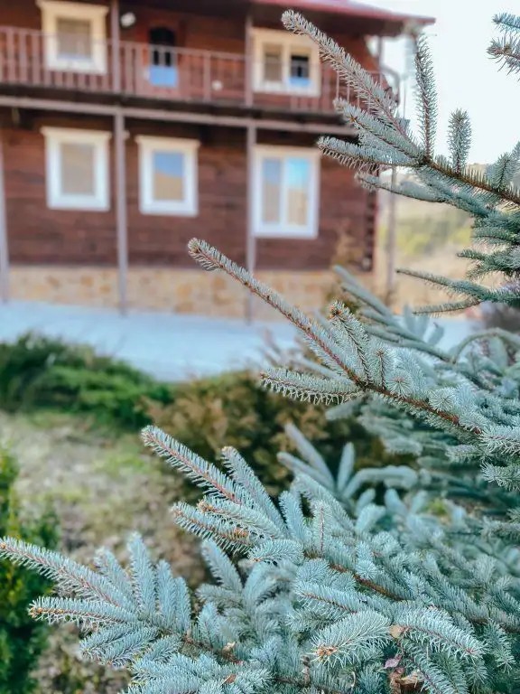 ГОСТЕВОЙ ДОМ ОЛИМПИЯ
