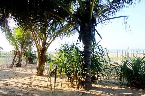 HIDEAWAY HIKKADUWA