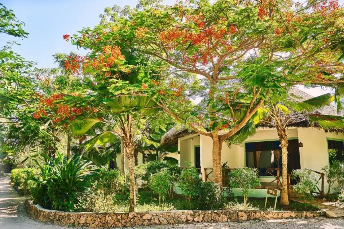 SPICE ISLAND