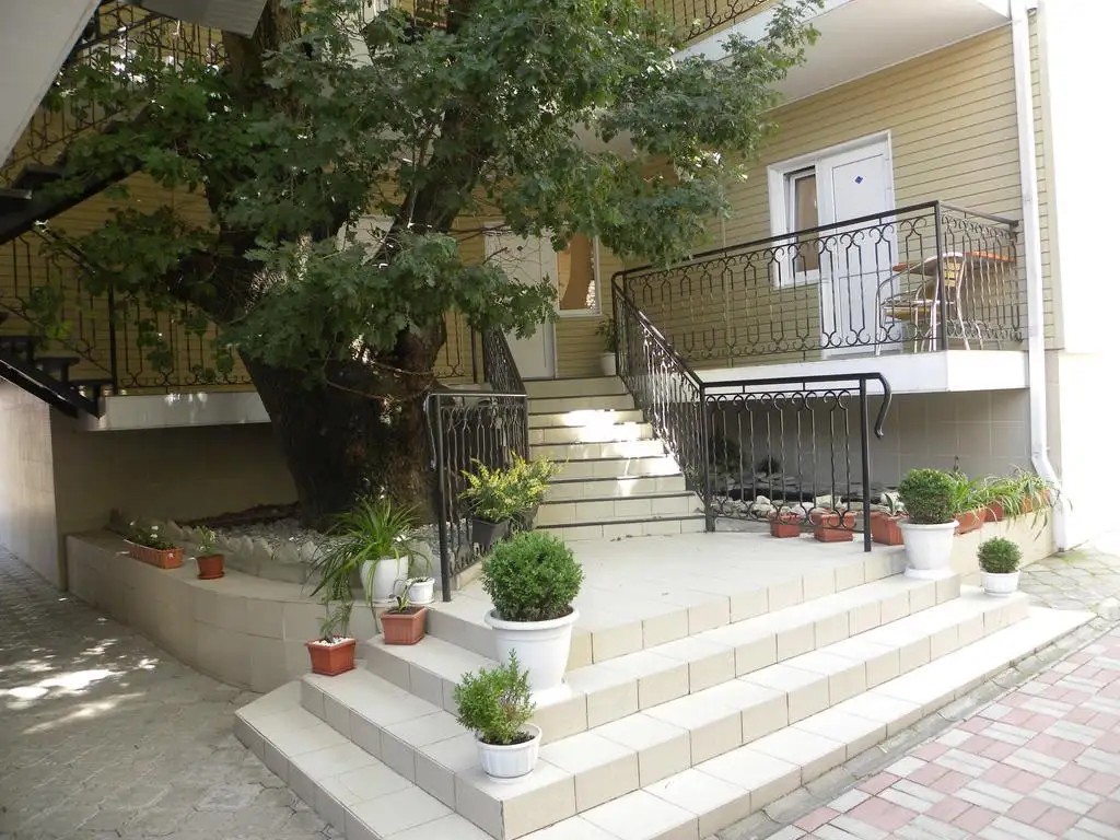 ЛУКОМОРЬЕ ГЕЛЕНДЖИК