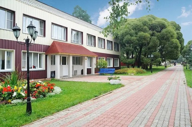 АТЕЛИКА СОСНОВЫЙ БОР