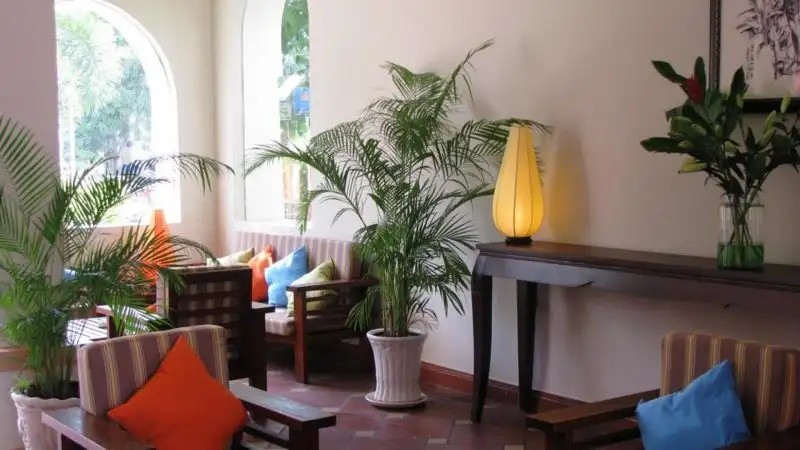 LE JARDIN DES THES