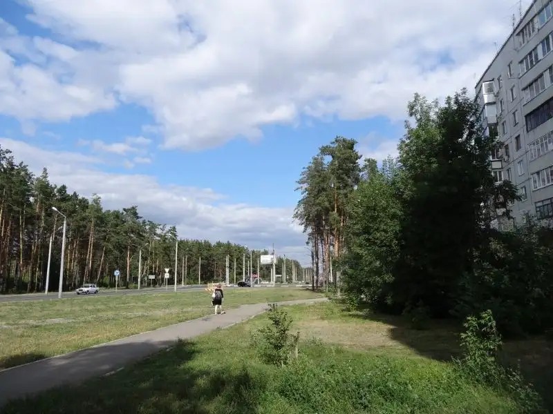 ЗОЛОТАЯ РЫБКА