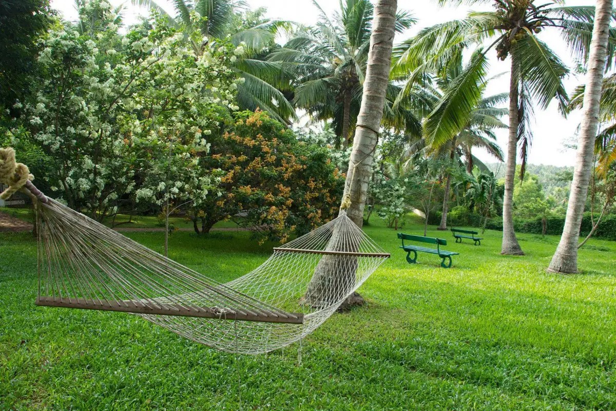 THE TRAVANCORE HERITAGE