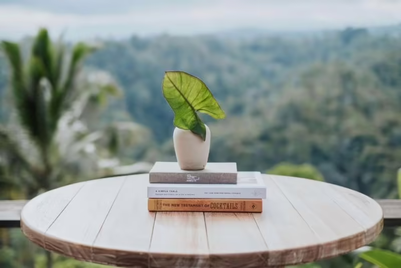BUAHAN A BANYAN TREE ESCAPE ADULTS ONLY 18+
