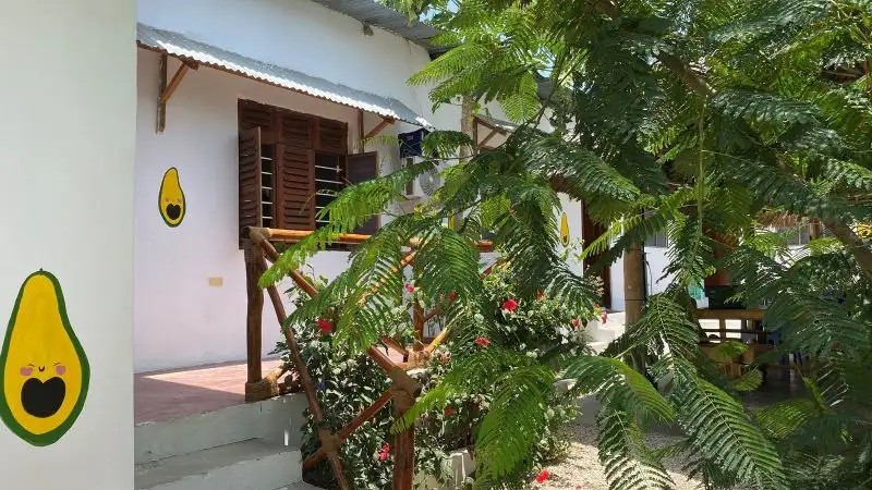 AVOCADO HOUSE NUNGWI