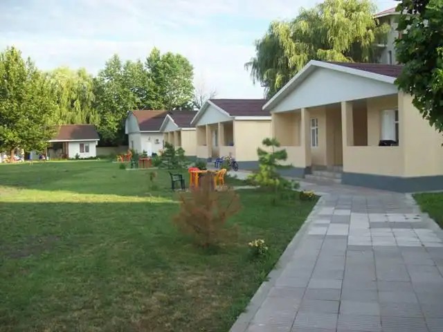 ТЮЛЬПАН
