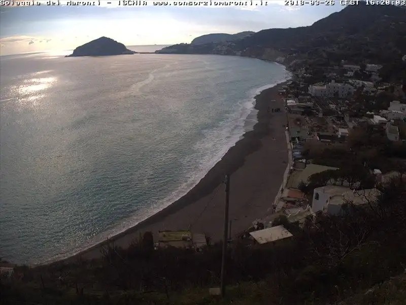 LA MANDORLA