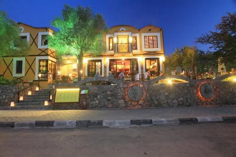THE OLIVE TREE STUDIOS ADULTS ONLY