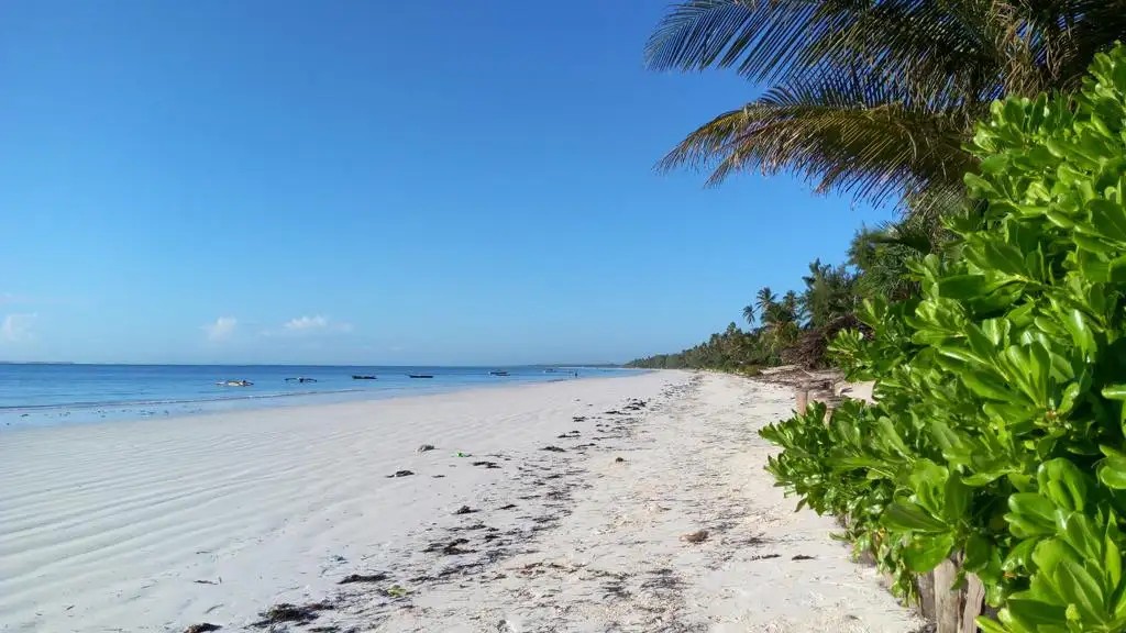 ZANZIBAR BAHARI VILLAS