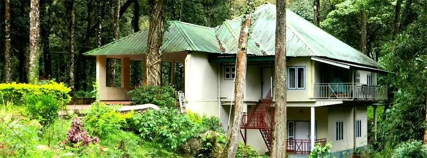 DEEP WOODS RESORT