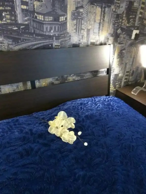 ГОСТЕВОЙ ДОМИК