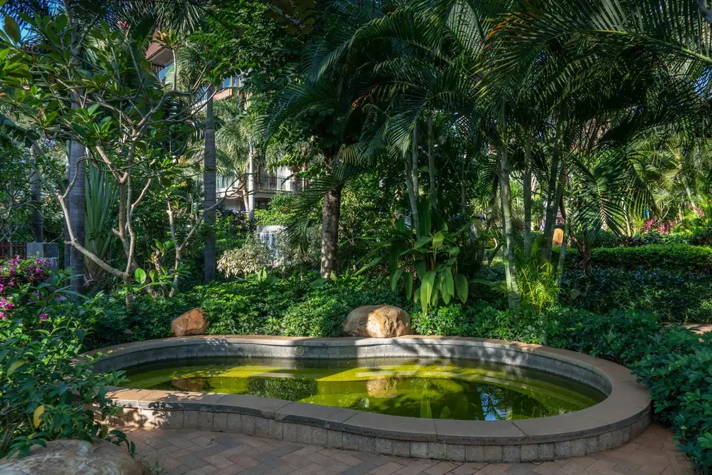 ARGYLE YALONG BAY RESORT