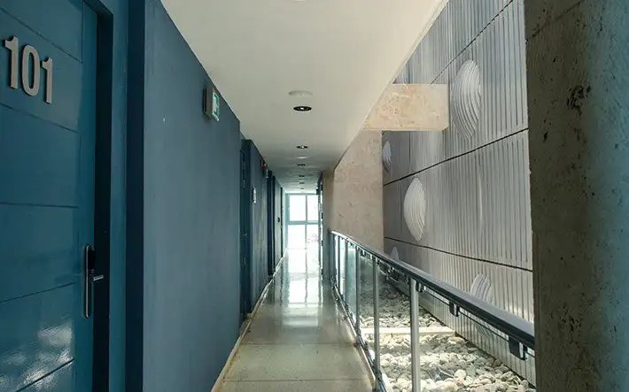 EL TERRAL