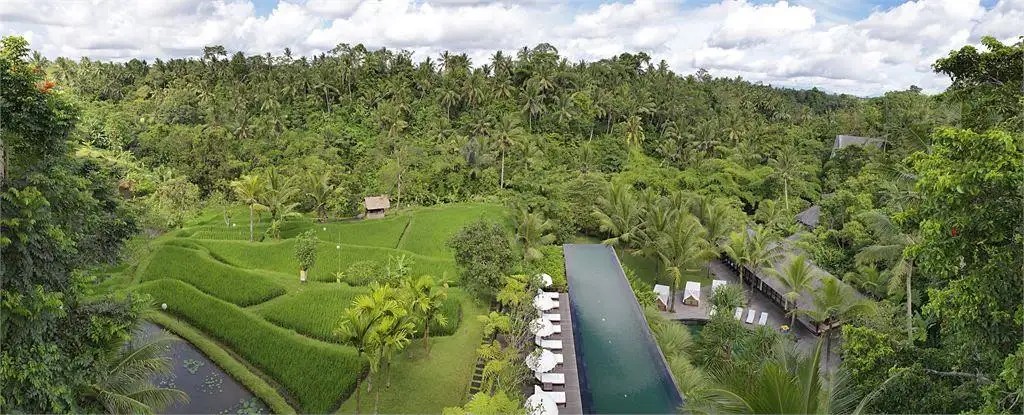 KOMANEKA BISMA UBUD