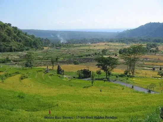 HIDDEN PARADISE COTTAGES