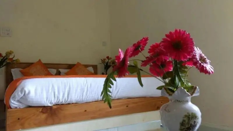 DAFFODILS GUEST HOUSE
