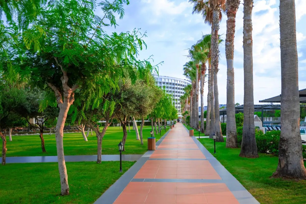 CRYSTAL CENTRO PEARL COLLECTION