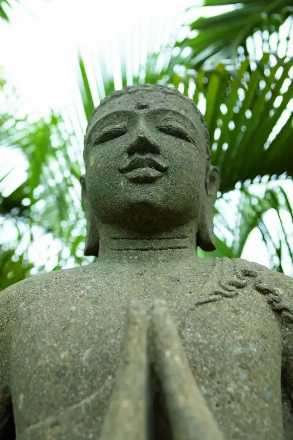 THE AHIMSA