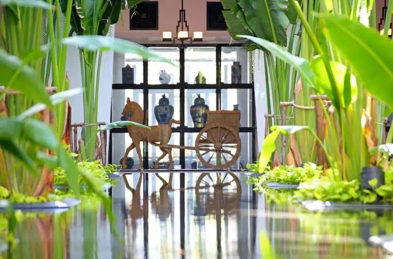 THE SIAM