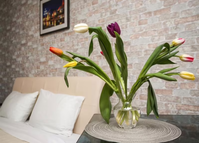 BALTIC CITY APARTMENTS