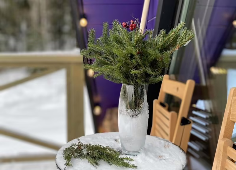 LBERRY KARELIA