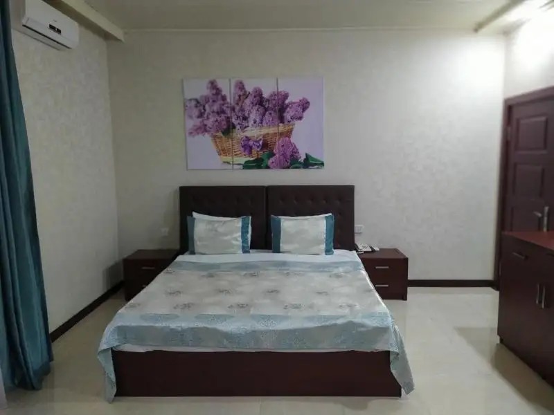 BLISS INN GABALA