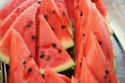 COLONNA GALAPAGOS GARDEN