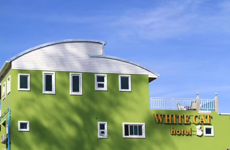 WHITE CAT