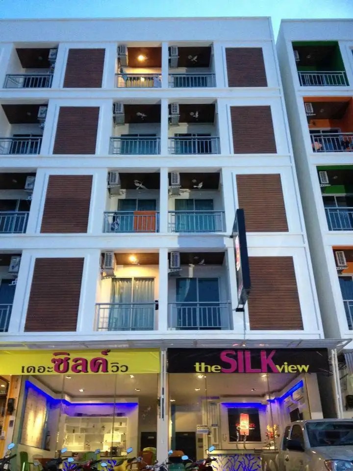 THE SILK VIEW